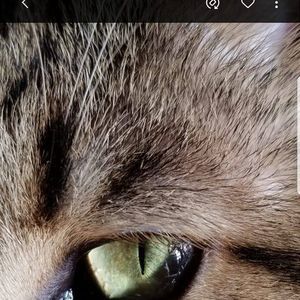 Meet your Posher, Heathir